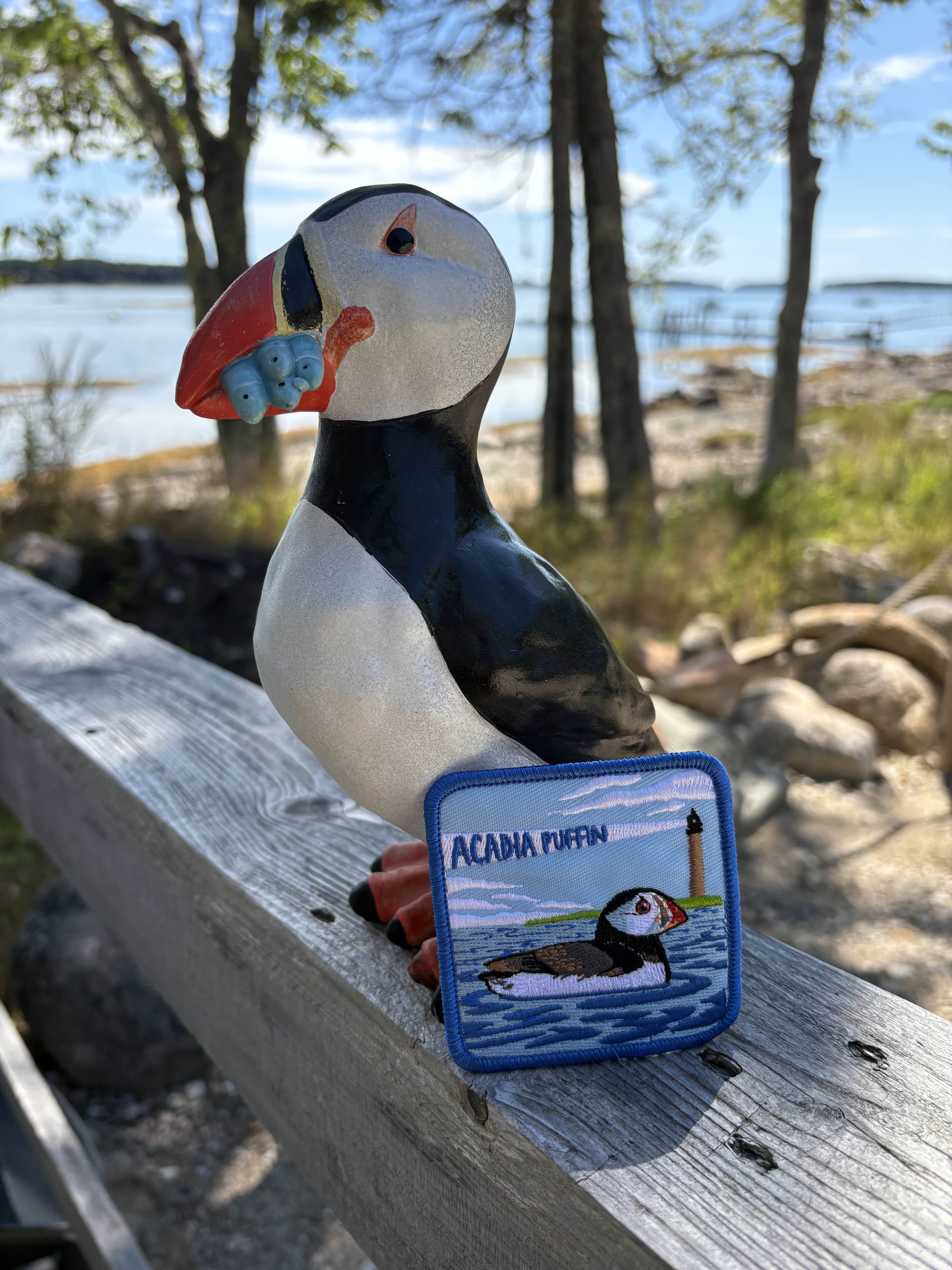 The acadia puffin patch. It features a lighthouse.