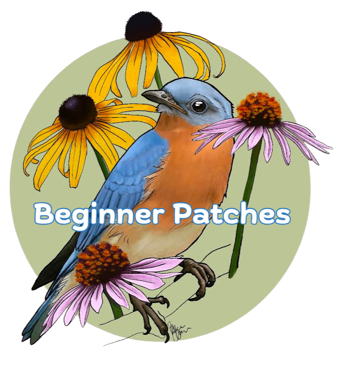 Beginner Patches