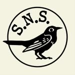 Galeanimation's logo for their Silent Nightingale Studios brand featuring a silhouetted nightingale.