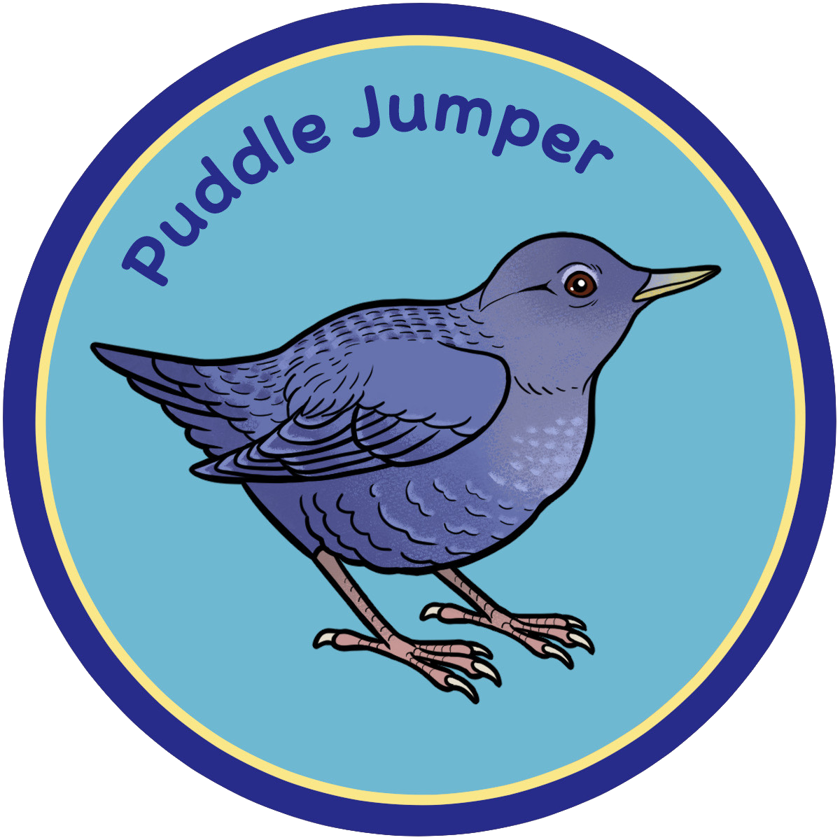 Puddle Jumper Patch